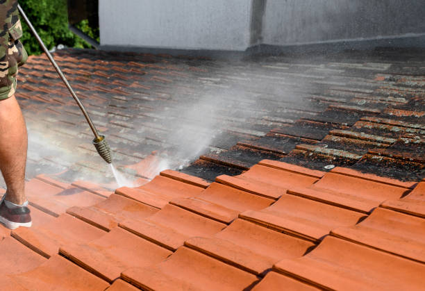 Best House Pressure Washing  in Sayville, NY