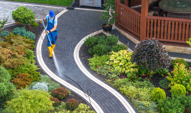 Best Local Pressure Washing Services  in Sayville, NY